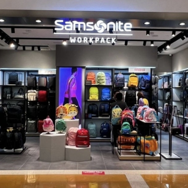 Samsonite Workpack